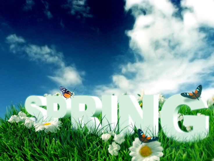 spring-061