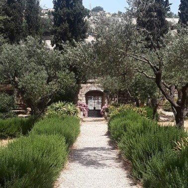 img_20190530_190751_387